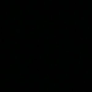 Meet your Posher, Ella